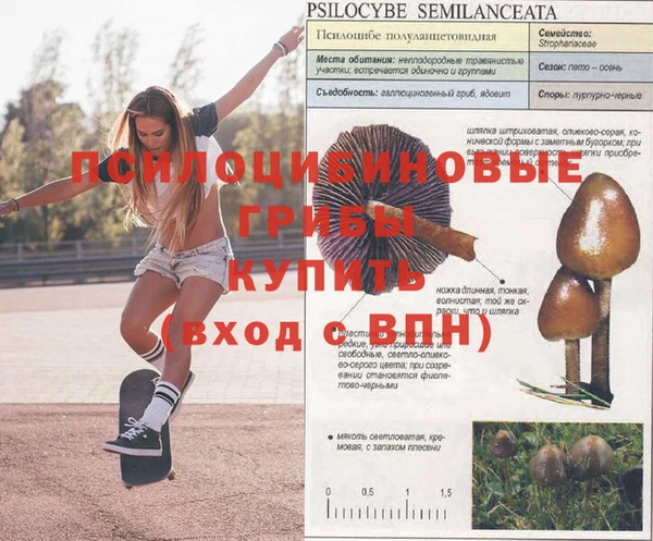 бутик Белокуриха