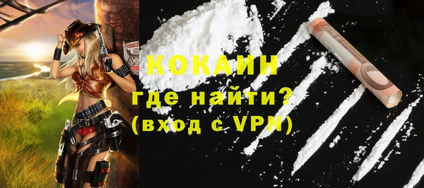 соль ск Богданович