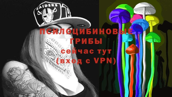 шишки Пролетарск