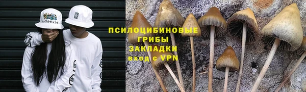 а пвп мука Баксан