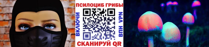 Псилоцибиновые грибы прущие грибы  закладка  ссылка на мегу ссылка  Губкинский 