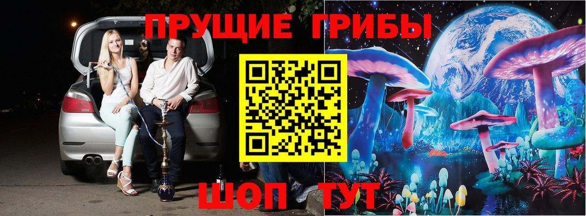 Псилоцибиновые грибы Magic Shrooms  Вход с VPN  Губкинский  Псилоцибиновые грибы ЛСД 